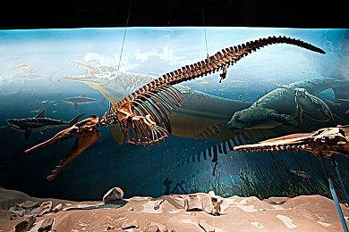 《赵云传重制版》有三女主剧情？Steam测试12月29日开启